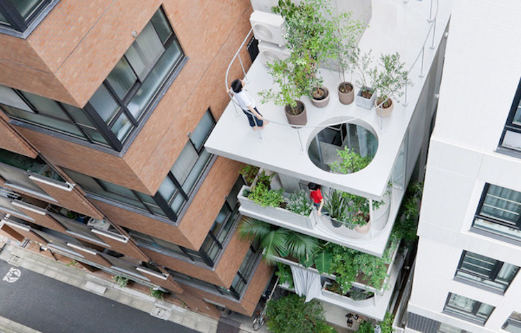 西澤立衛綠意傑作！東京植物共生居所Garden and House 5層樓全透明玻璃